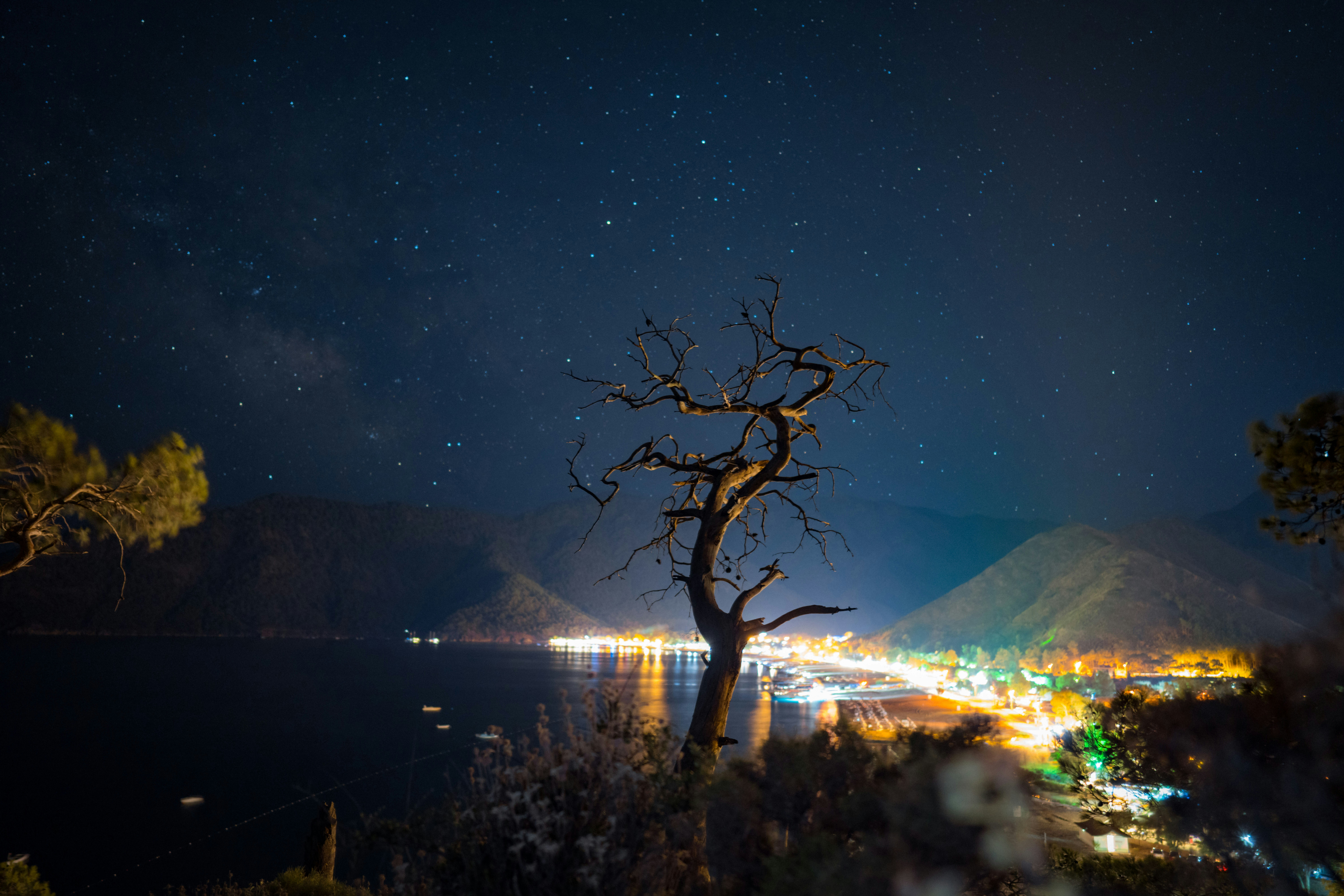 Nightlife Guide to Deesa (2026)
