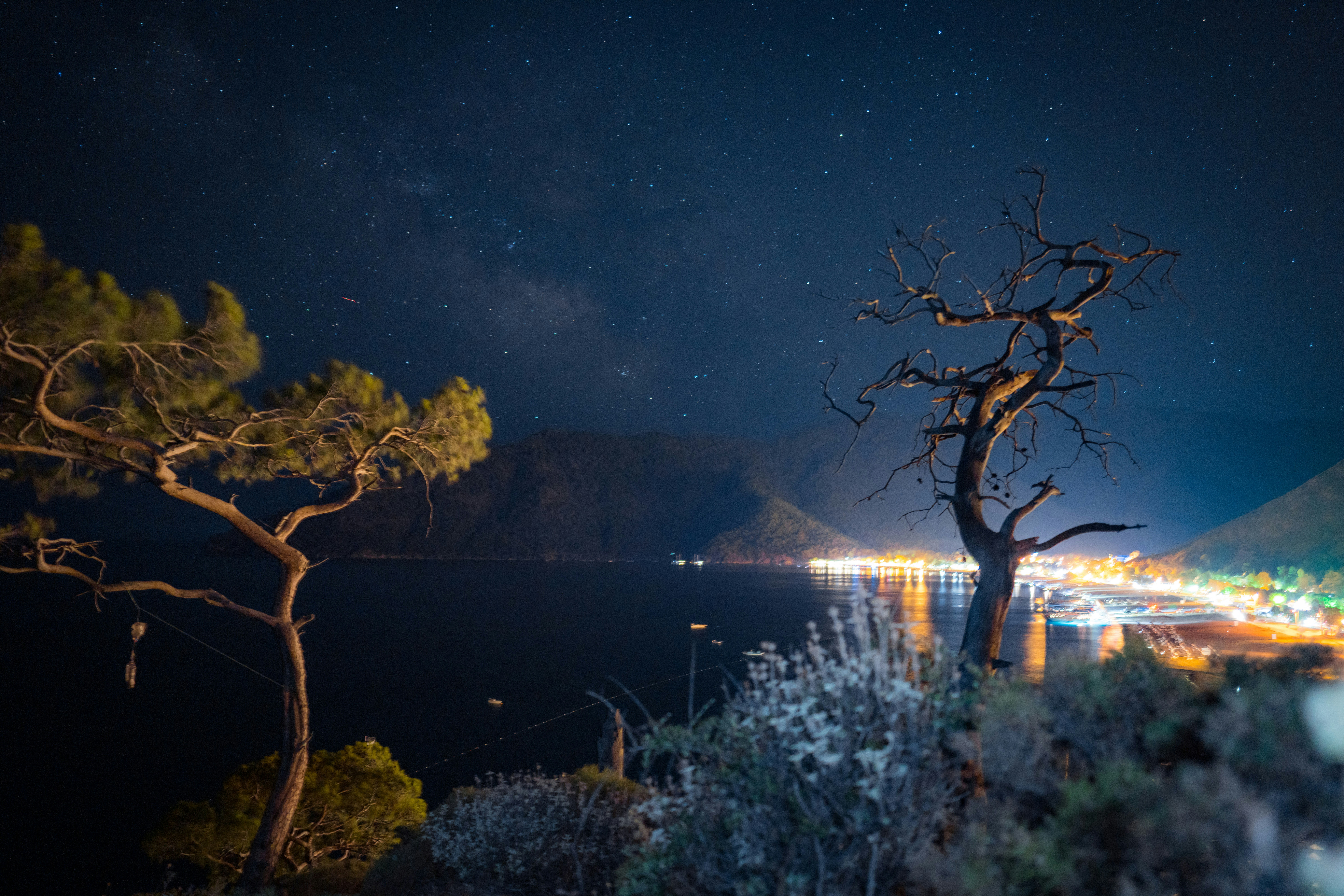Nightlife Guide to La Vega (2026)