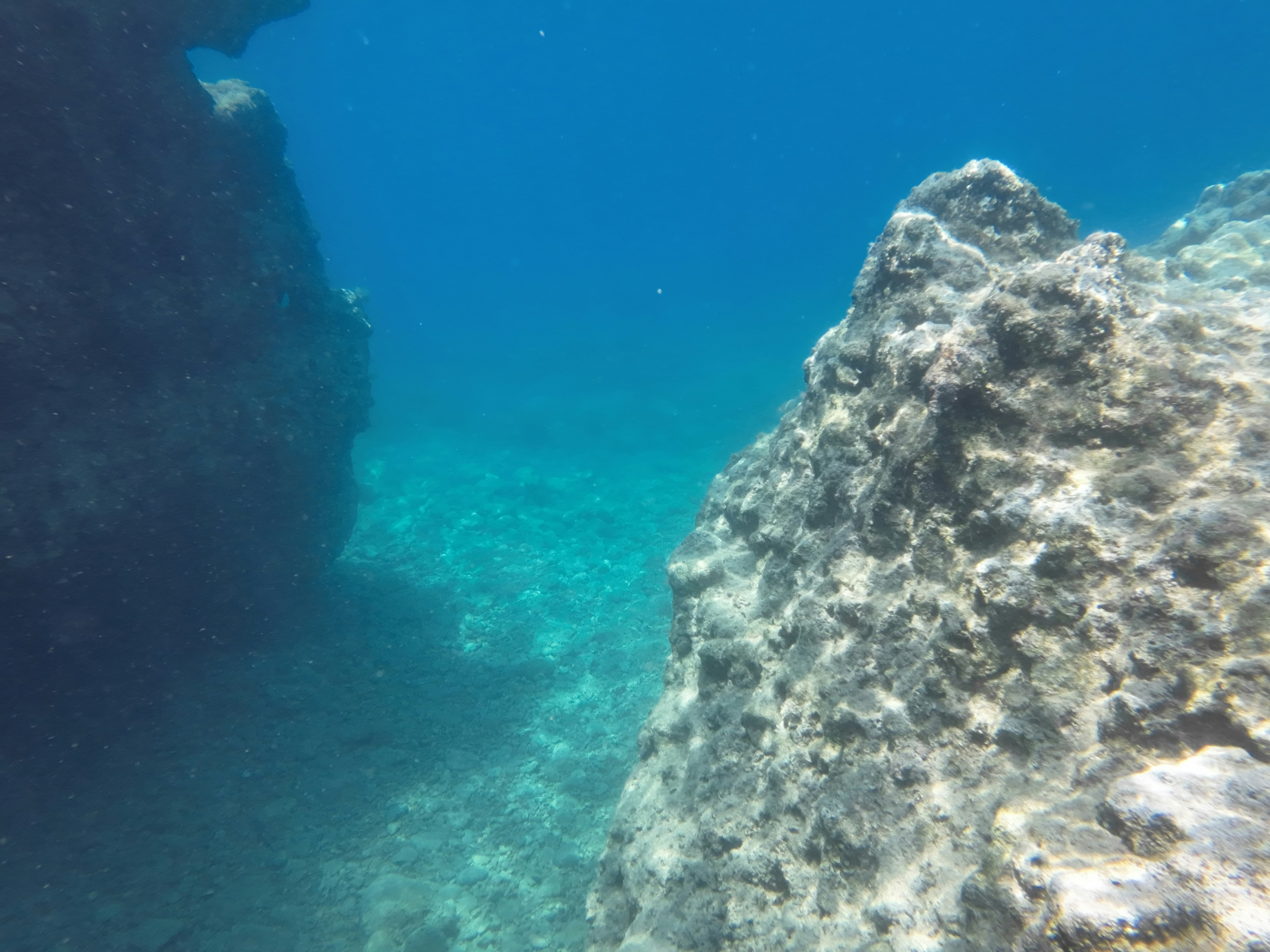 Photo by raimondklavins