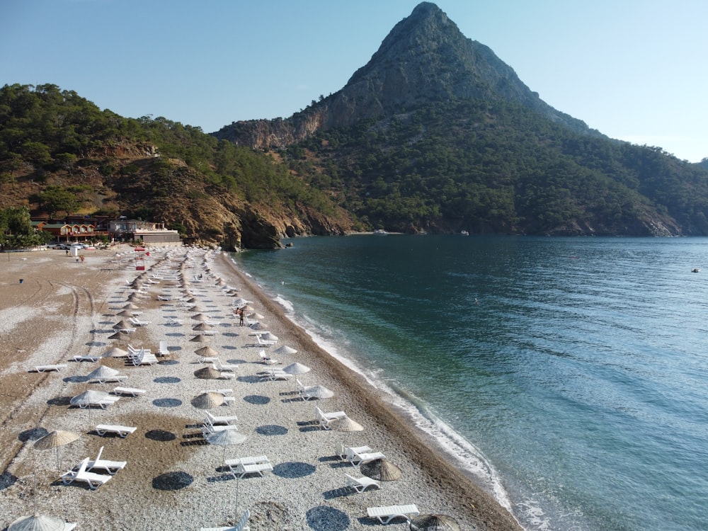 a beach with many cars parked along it