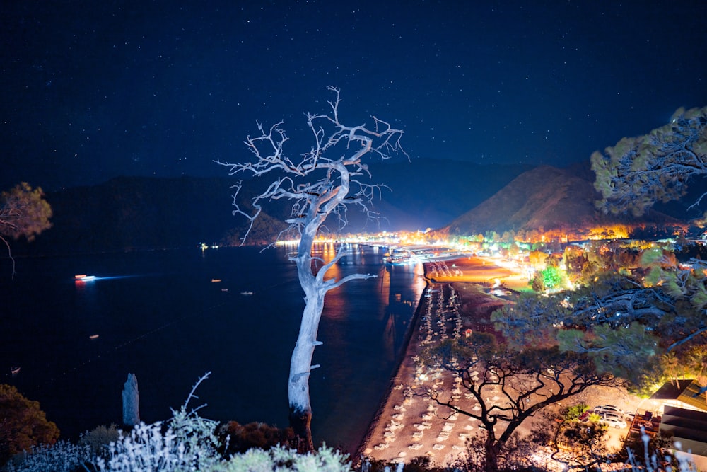 a city with lights and trees at night