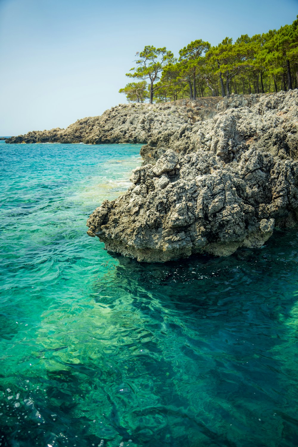 a rocky cliff with trees on it