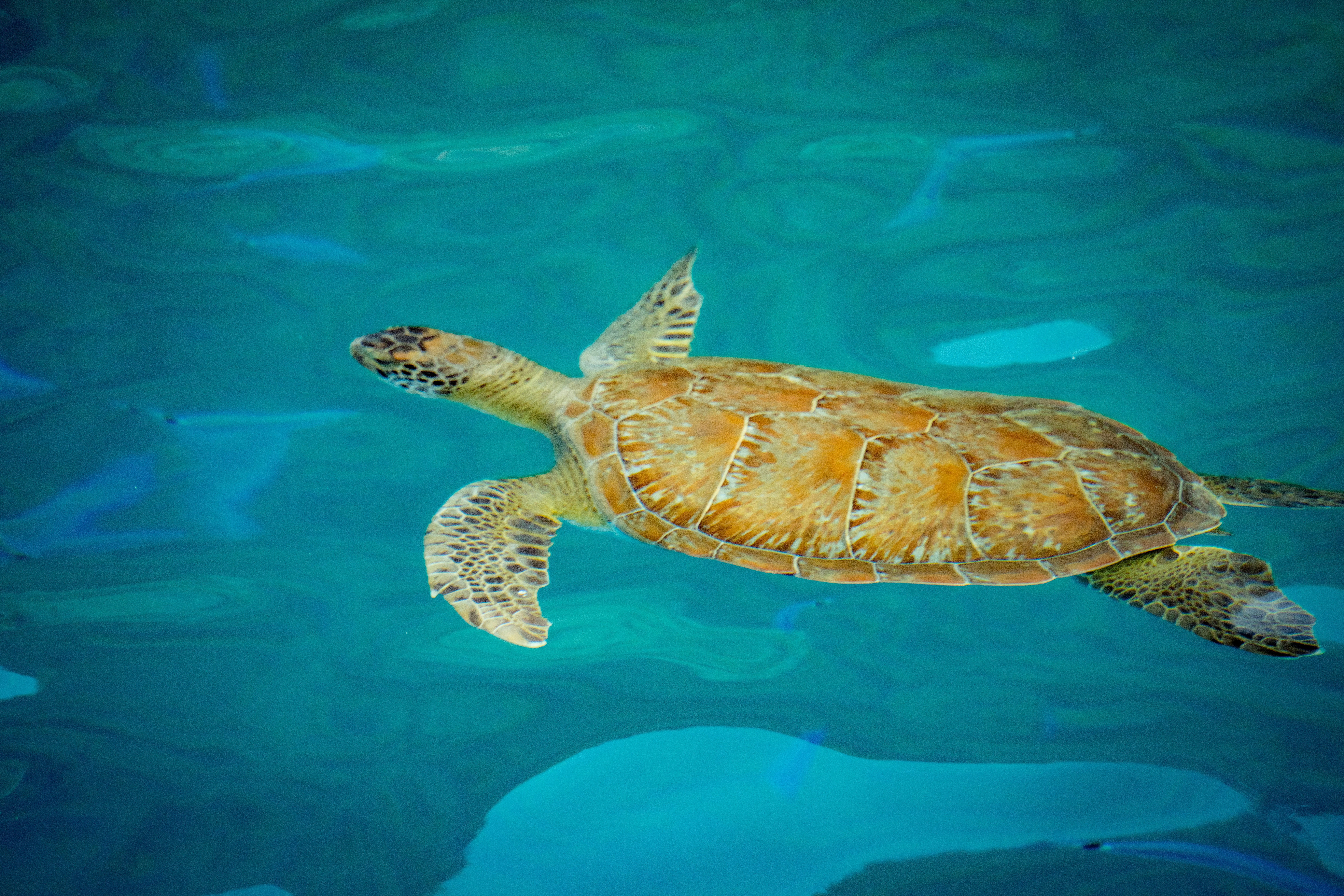 Photo by raimondklavins