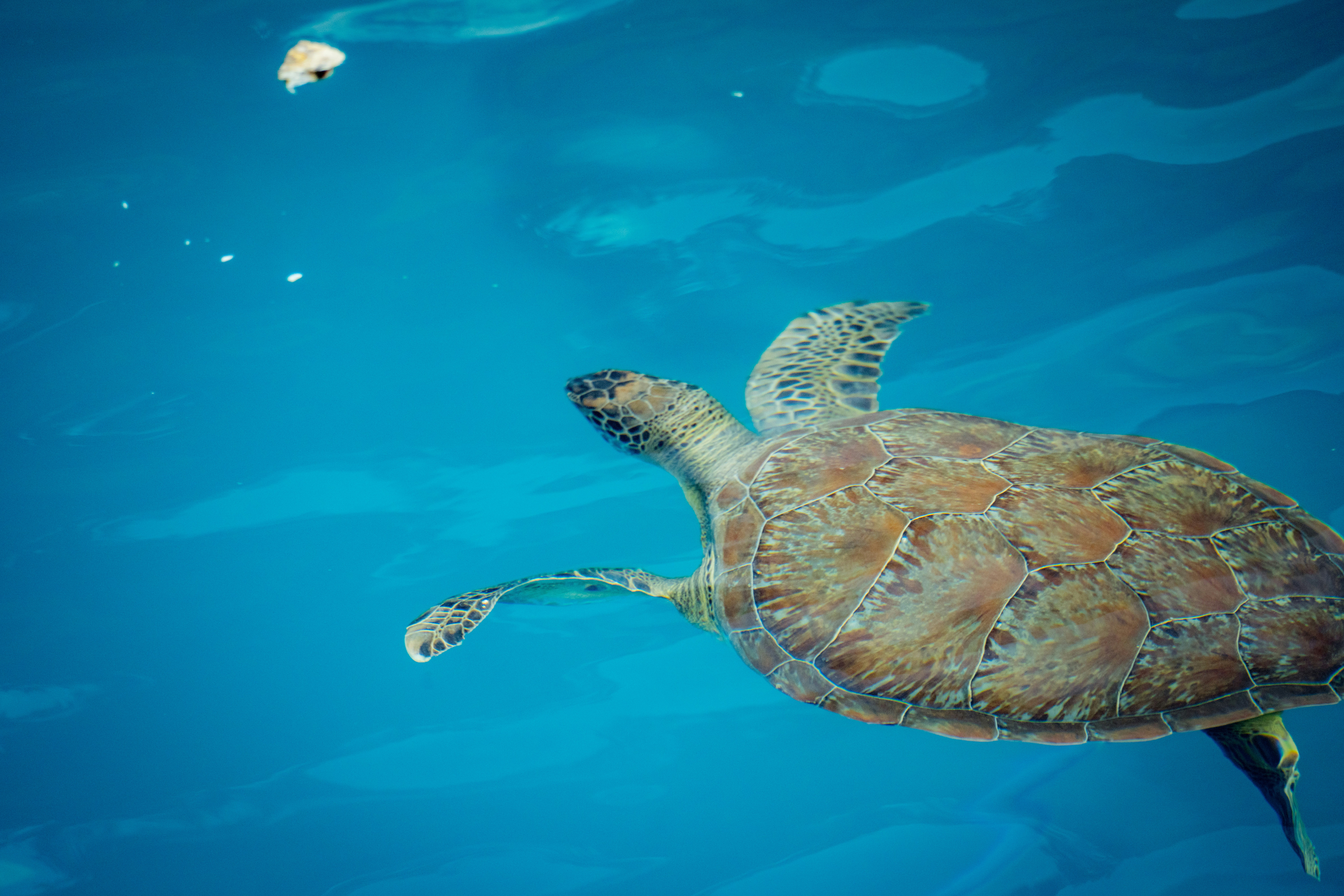 Photo by raimondklavins