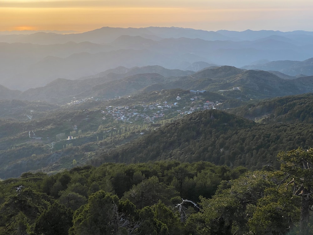 Un paisaje con árboles y colinas