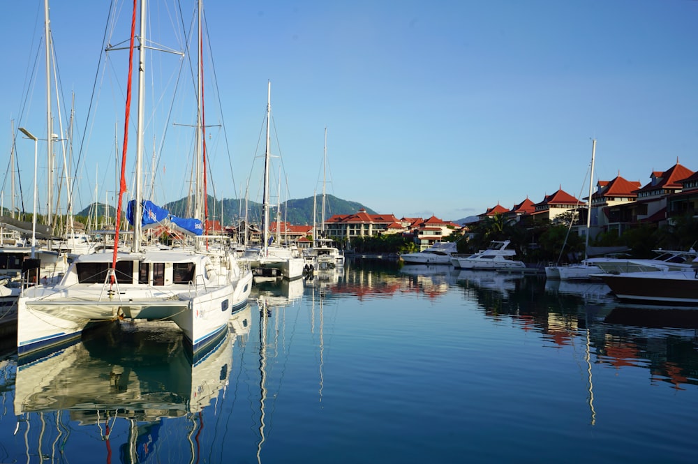 a group of boats sit in a harbor