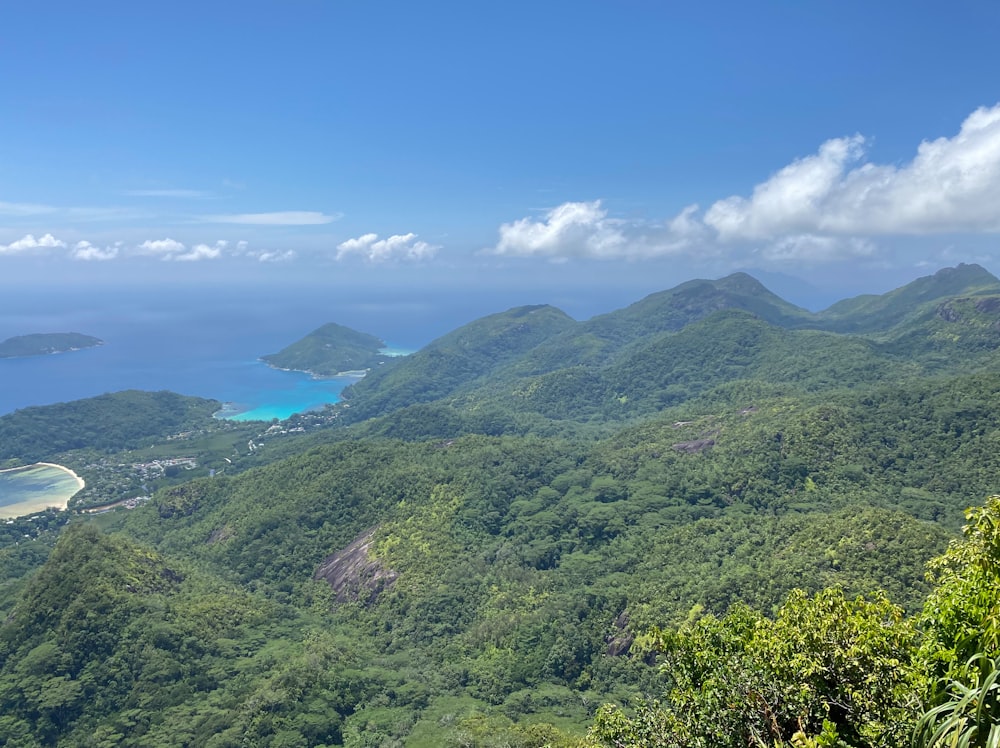 a landscape with hills and trees