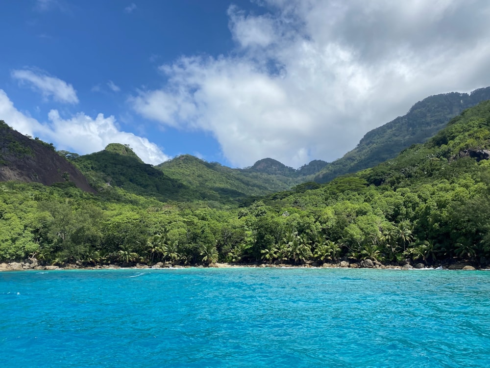 a body of water with trees and mountains in the background