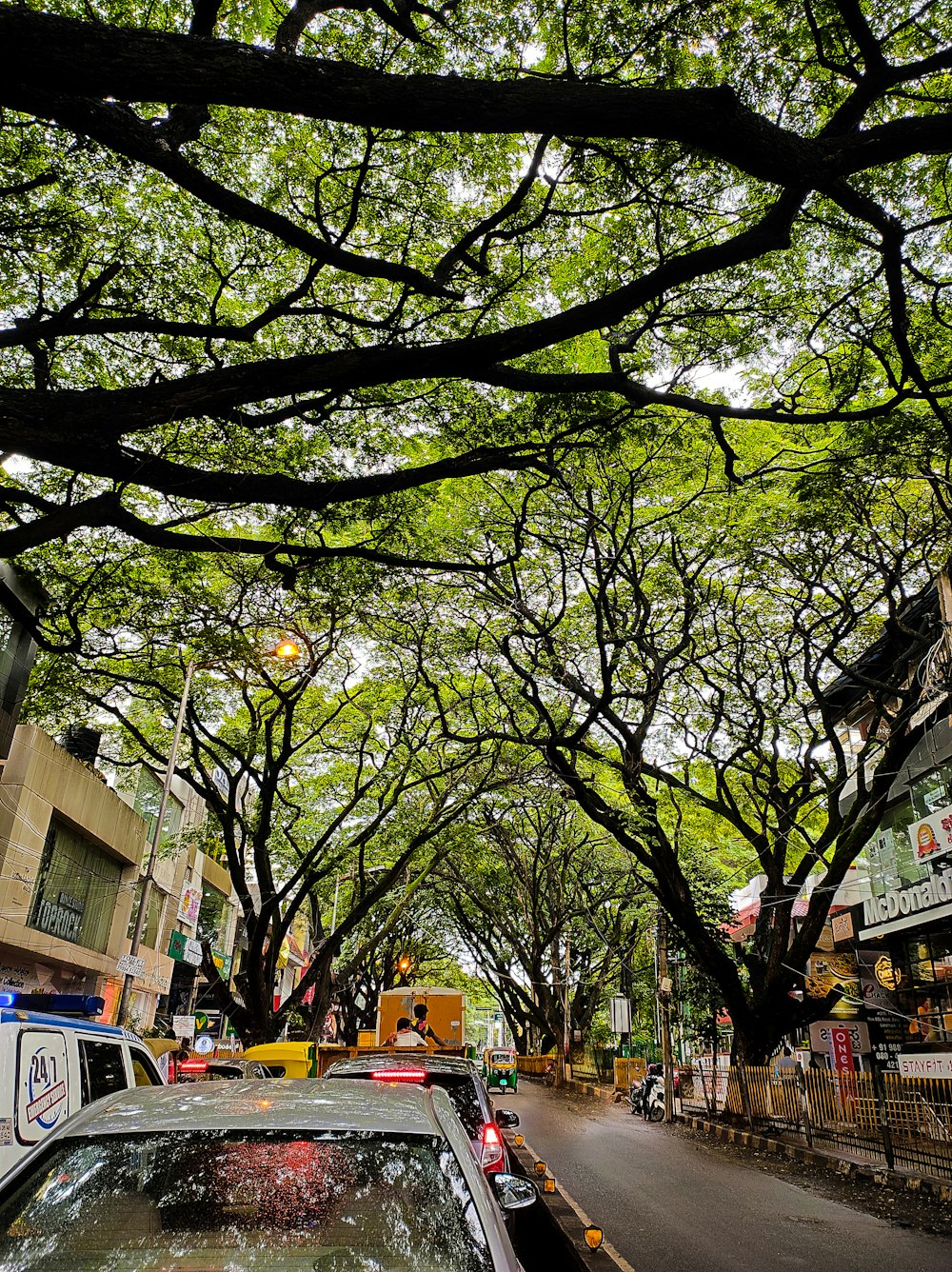 a street with trees on the side