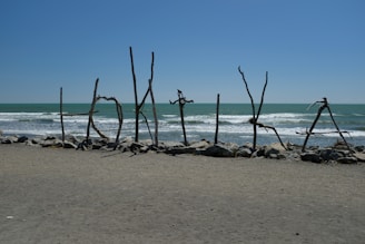 A serene beach scene showcasing driftwood and sea glass art installations along the shoreline.