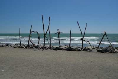 A serene beach scene showcasing driftwood and sea glass art installations along the shoreline.