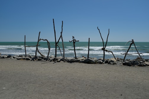 A collection of intricate driftwood sculptures displayed against a serene coastal backdrop.