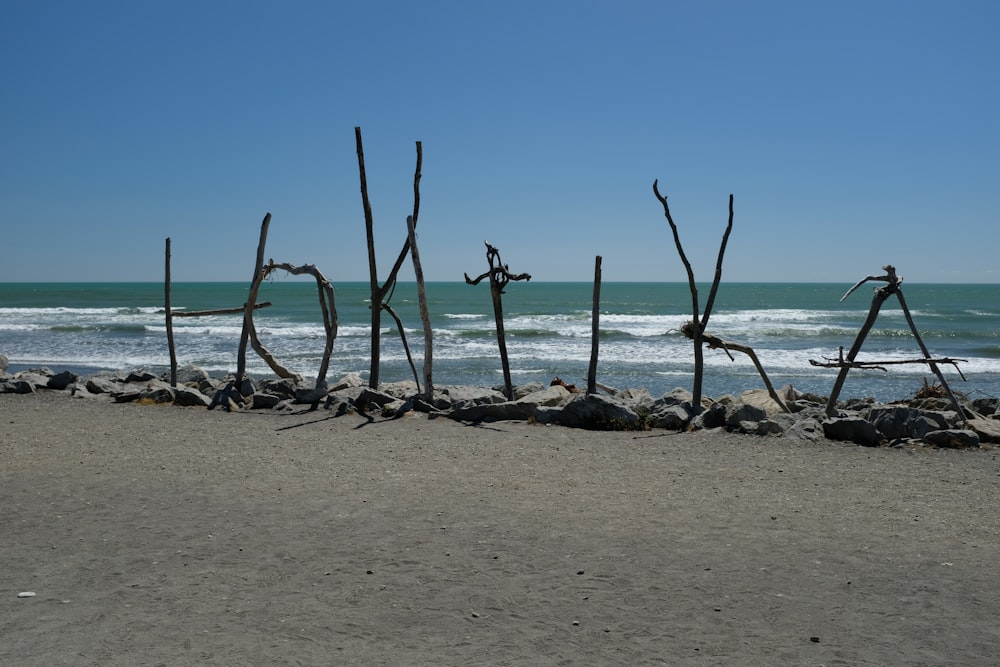 a group of sticks on a beach