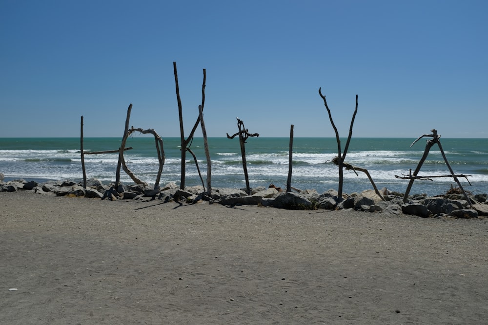 Eine Gruppe von Stöcken am Strand