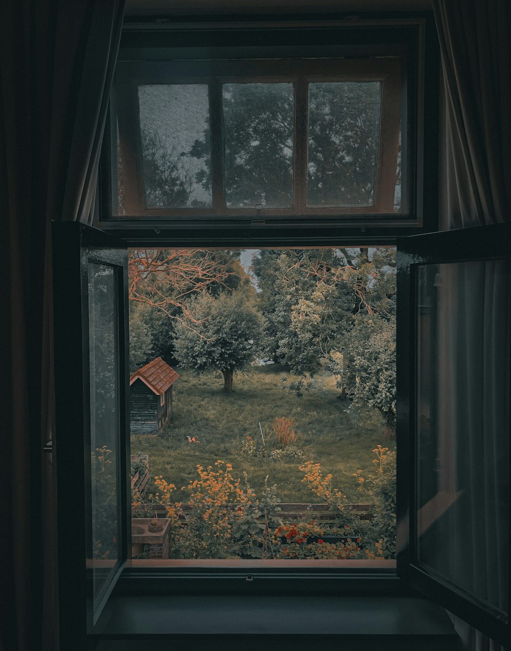 a window with a view of trees and a yard