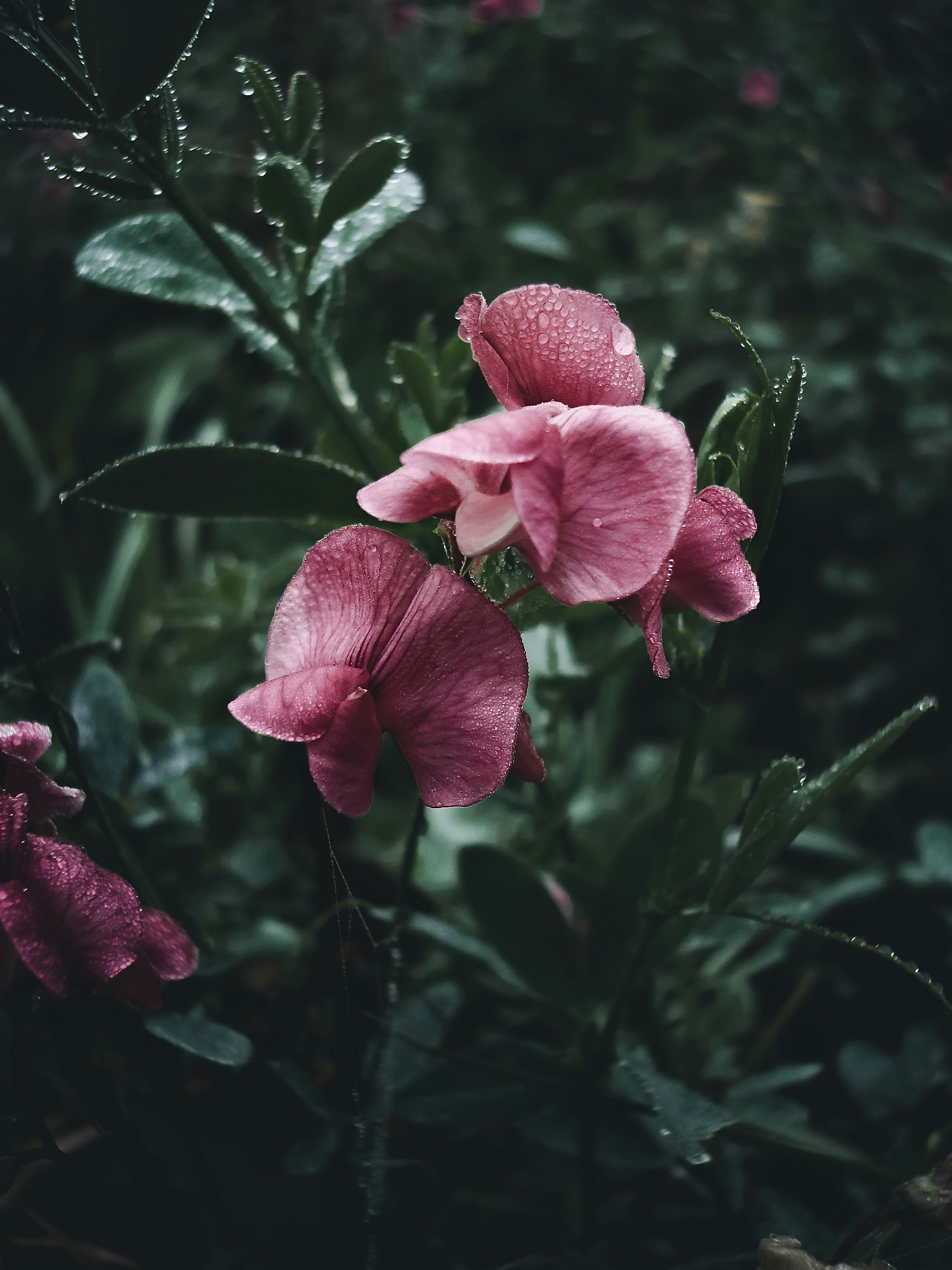 Photo by eugene_golovesov