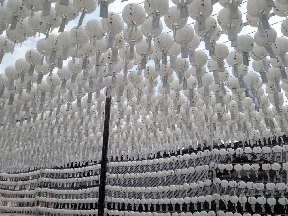 a large group of white balloons