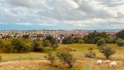 Tripper - Guide - The perfect stag day in Aalborg, Denmark