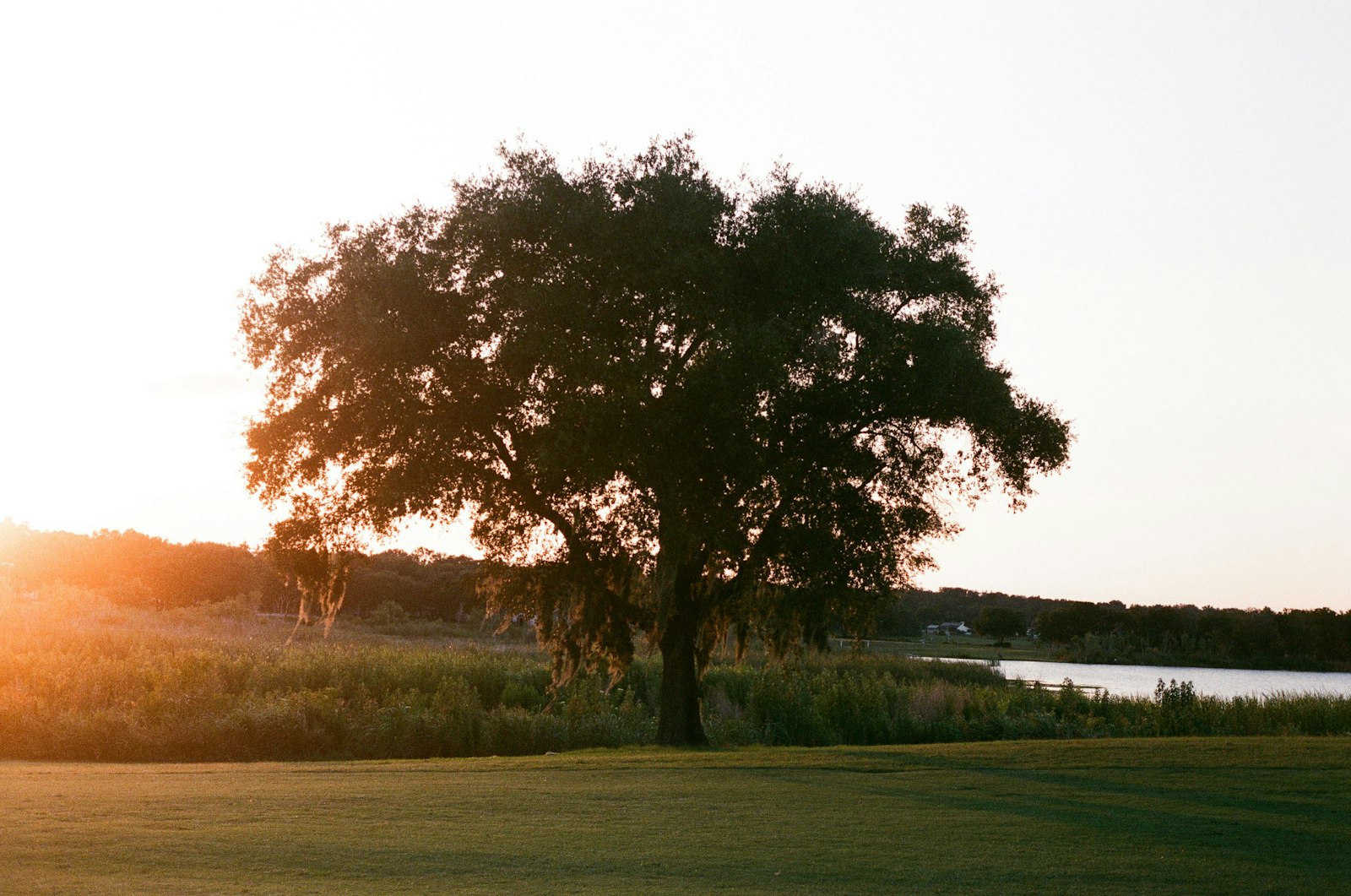 Orlando area golf course with green fairway