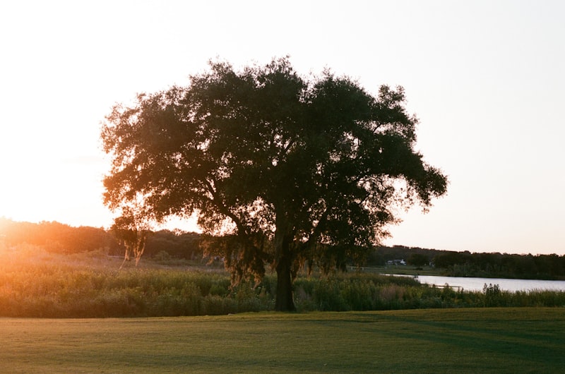 Orlando area golf course