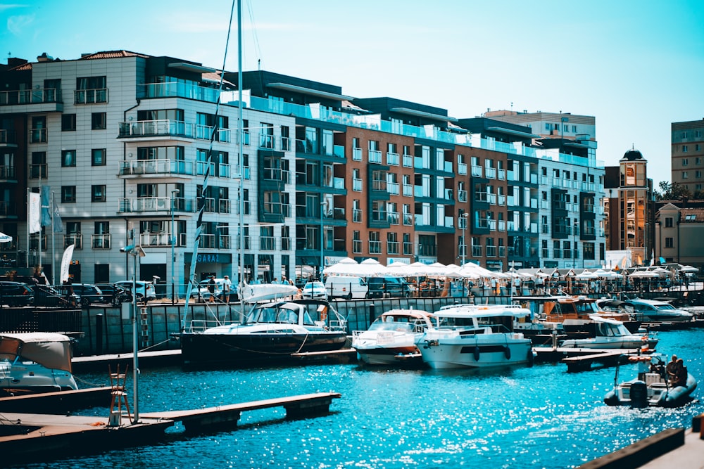 boats in a harbor