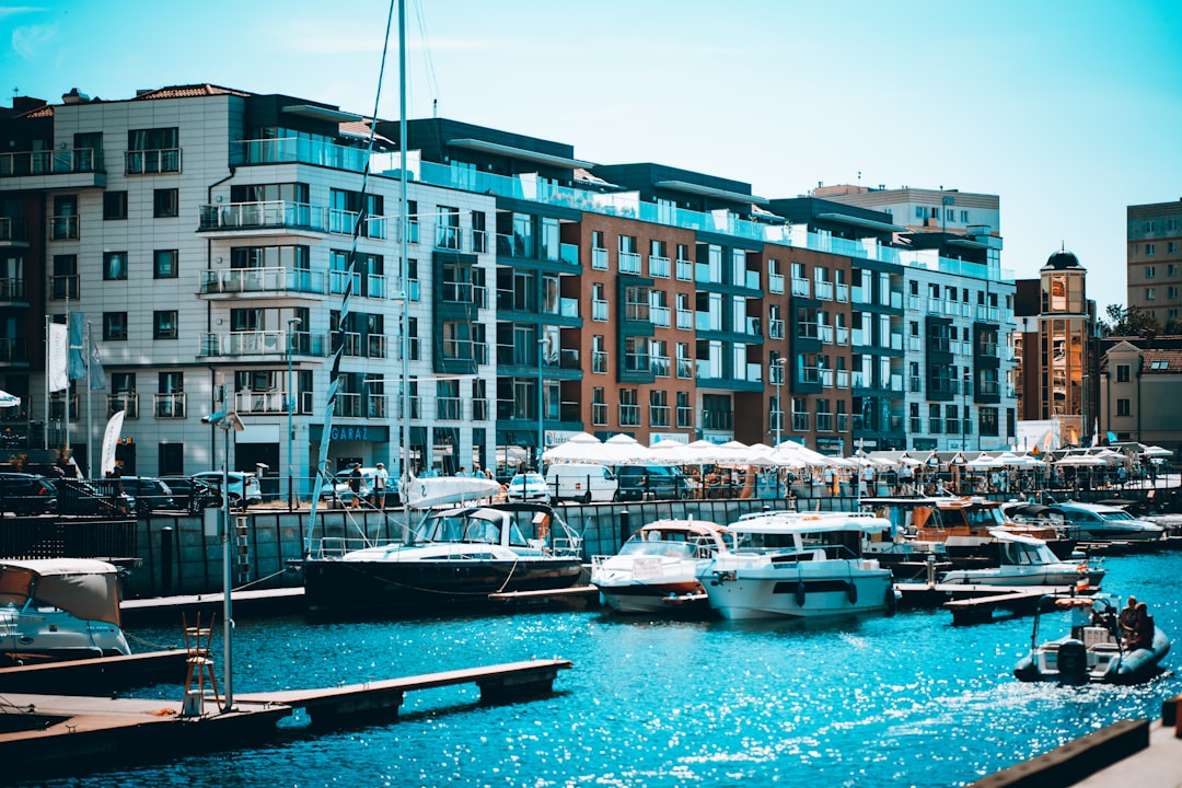 boats in a harbor,