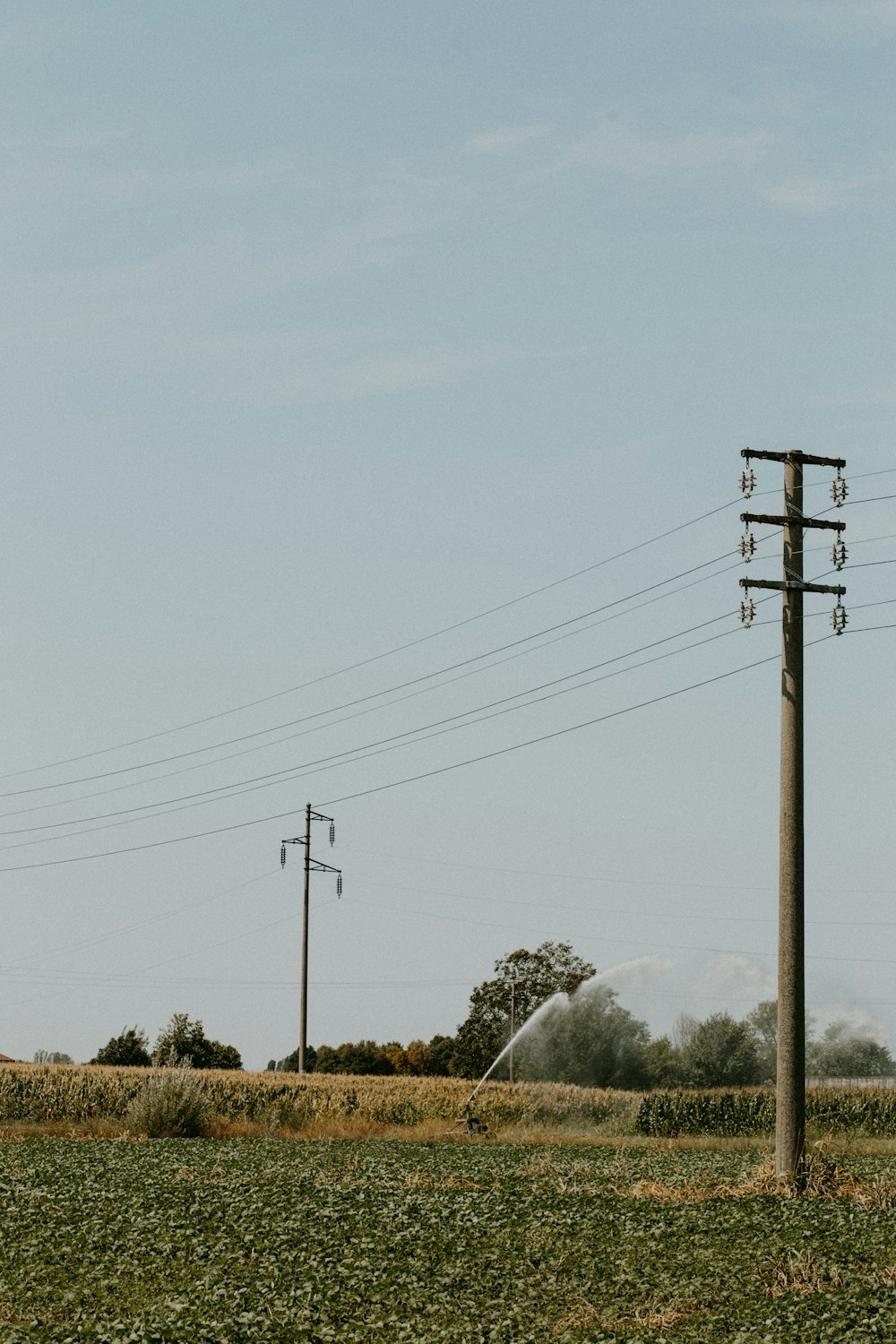 a field with power lines and a field with a tree and a mountain in the background
