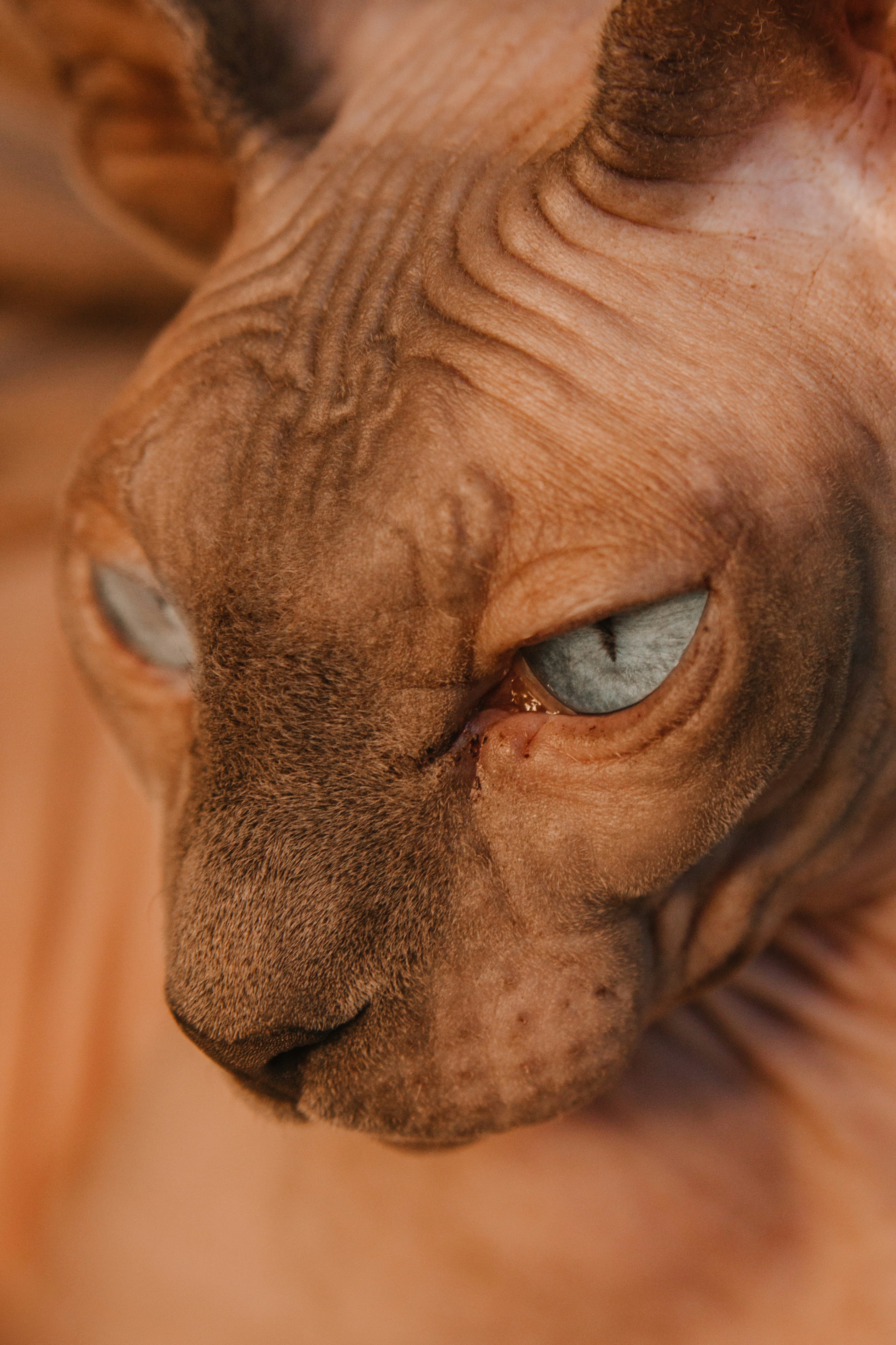 Photo by sam_badmaeva