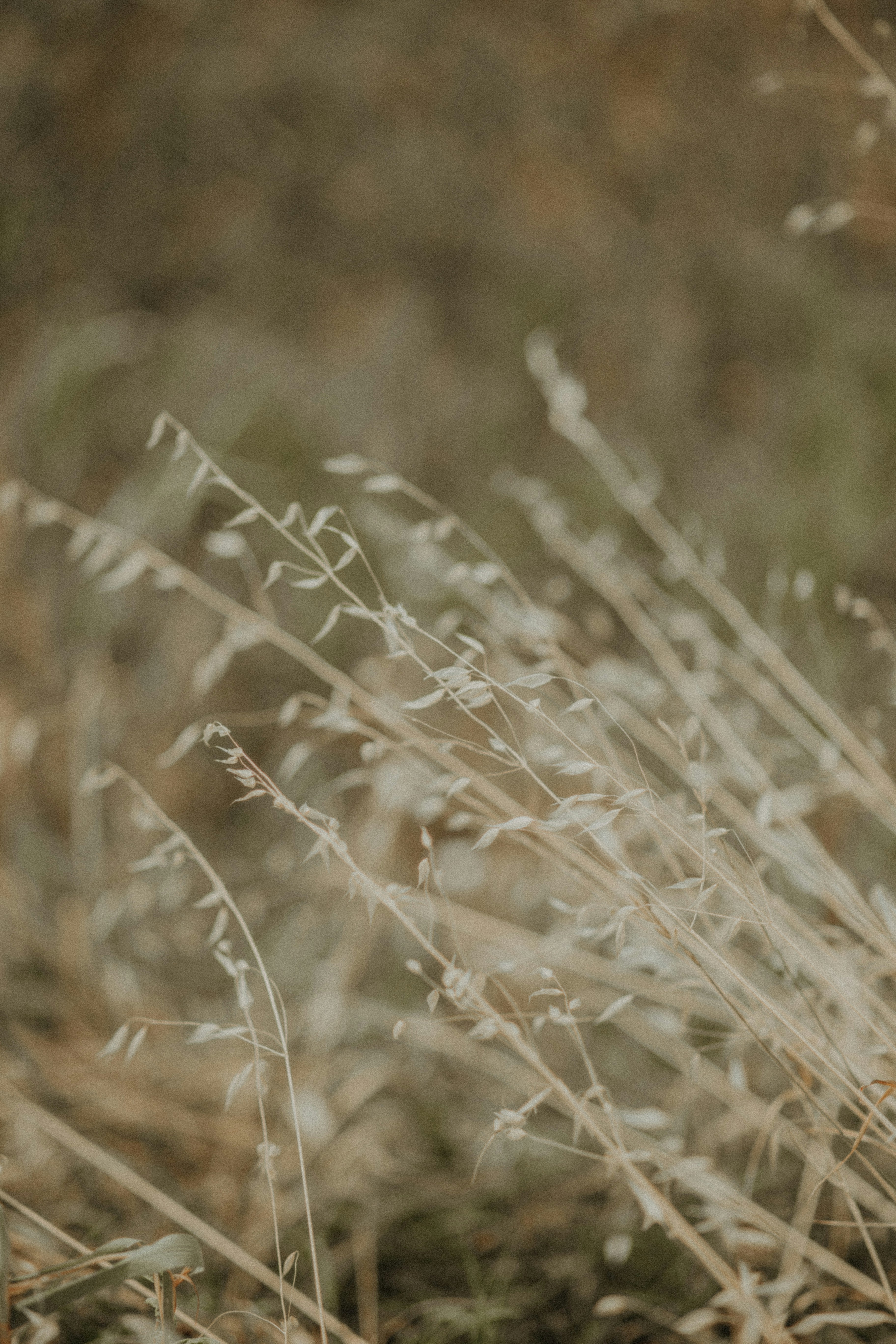 Photo by rhamely