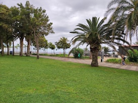 A lush green park featuring tall palm trees and other greenery. The sky is overcast with gray clouds. A paved walkway runs through the park, and a person is seen walking along it. In the background are benches and a small structure, possibly a cafe or rest area.