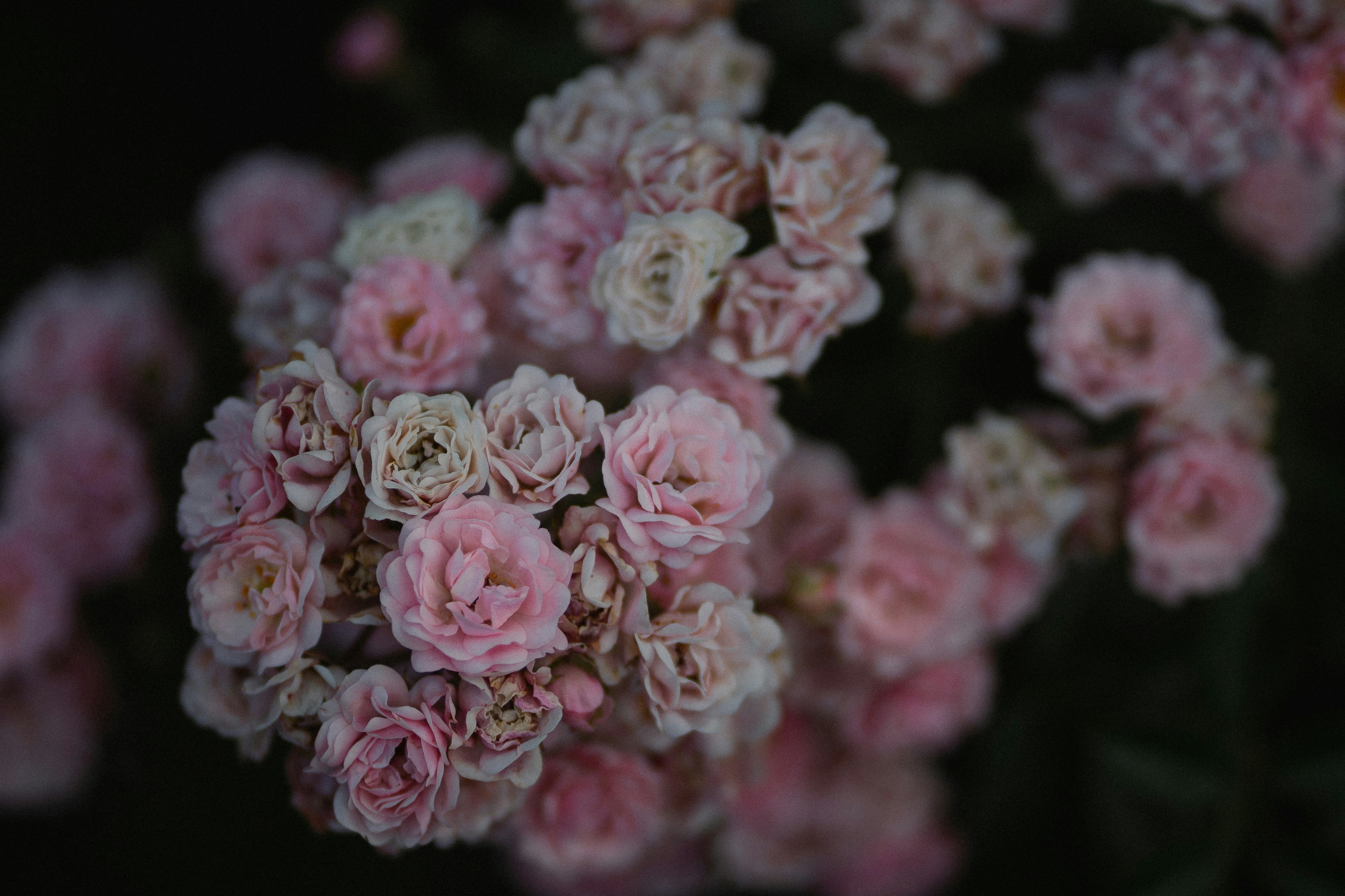 Photo by eugenechystiakov