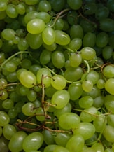 a bunch of green grapes