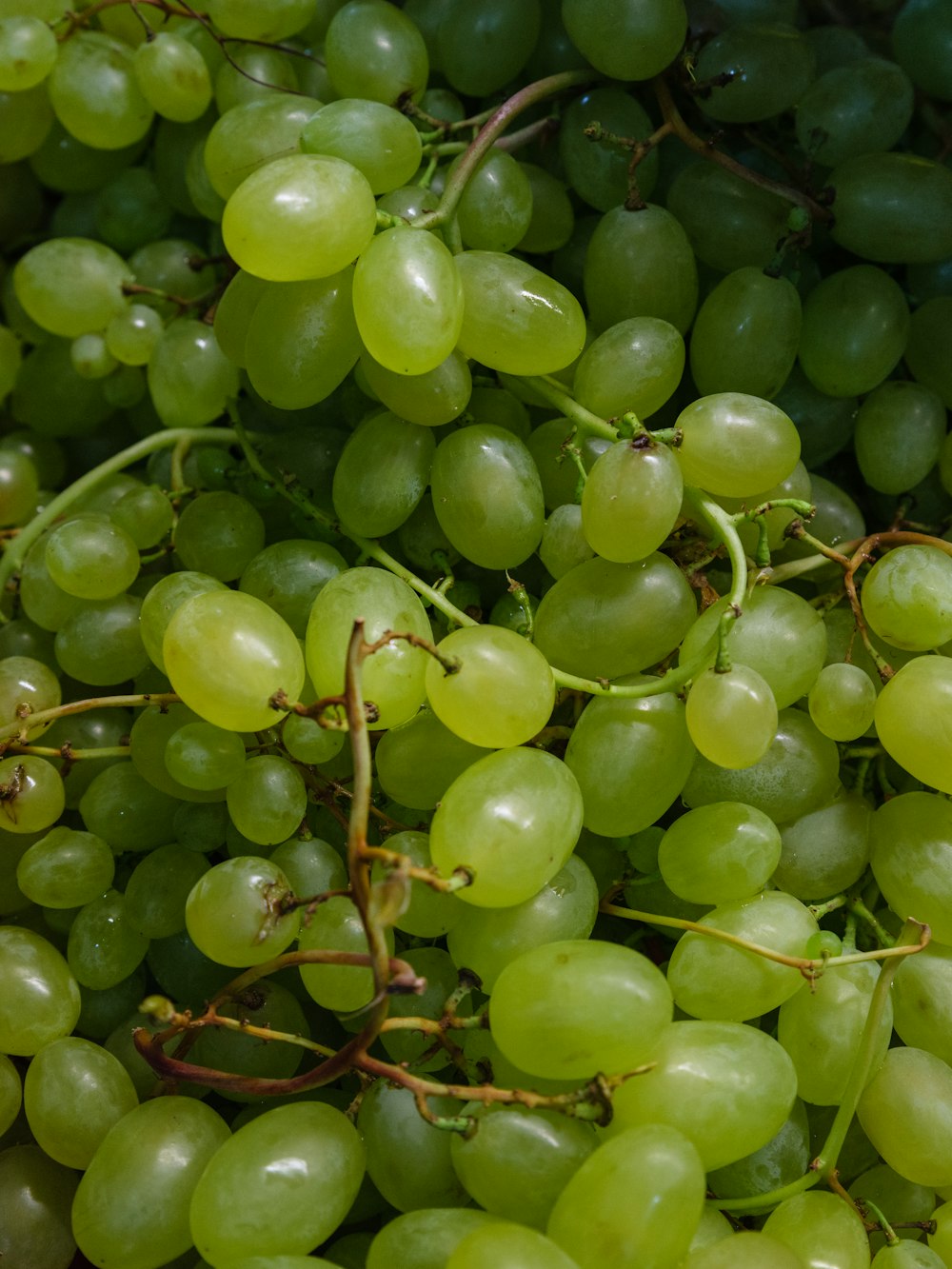 a bunch of green grapes