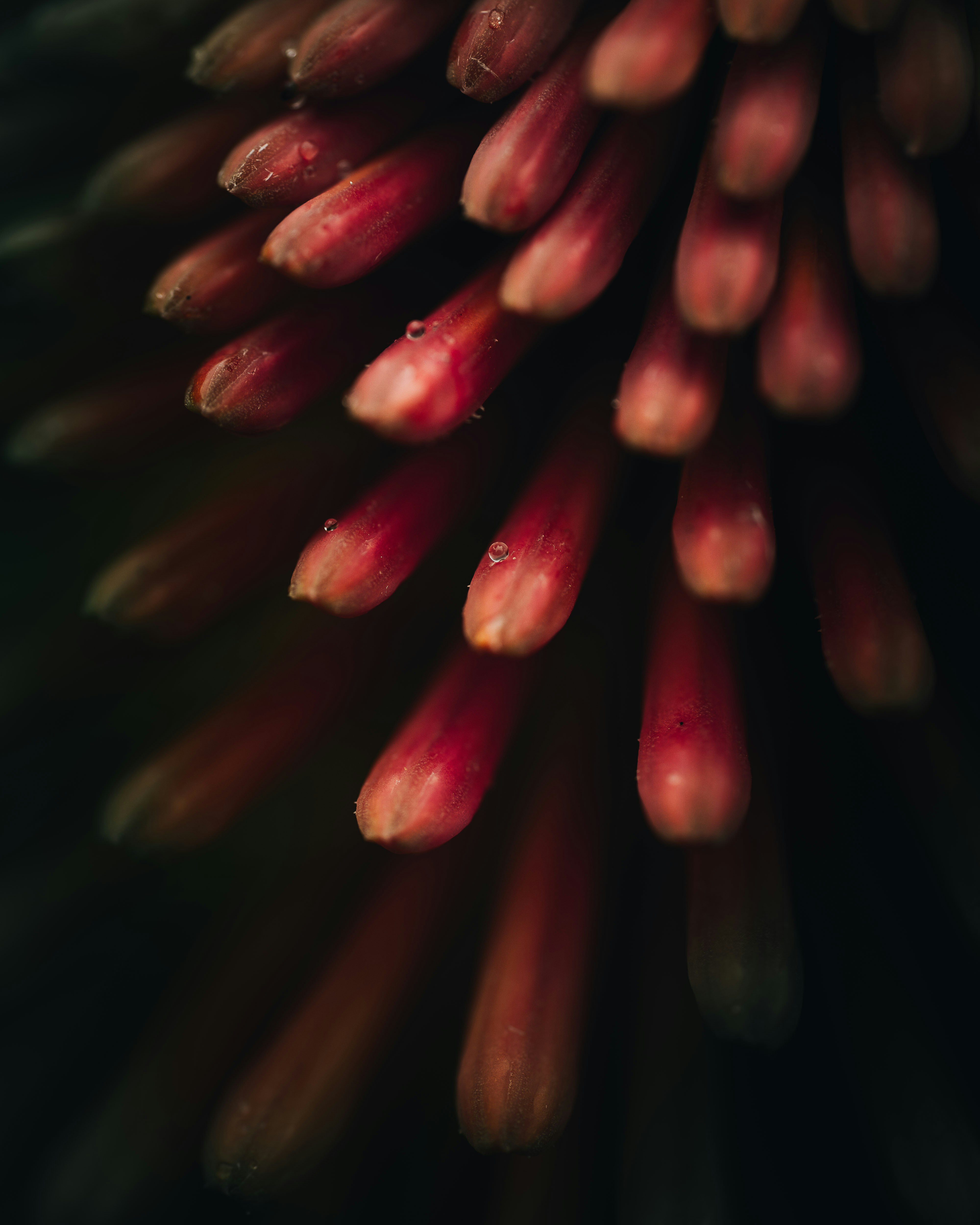 Photo by edgar_infocus