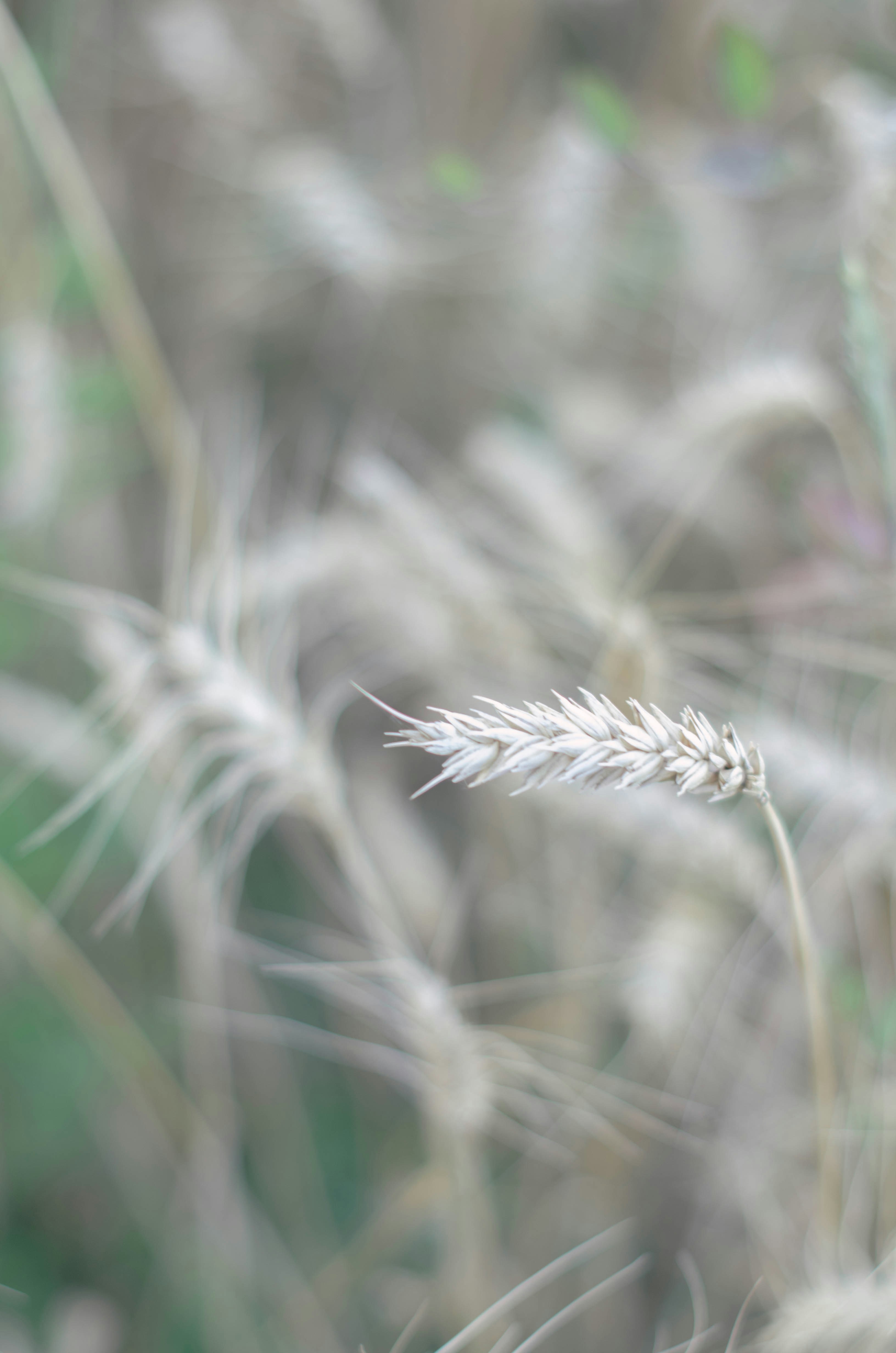 Photo by nika_benedictova