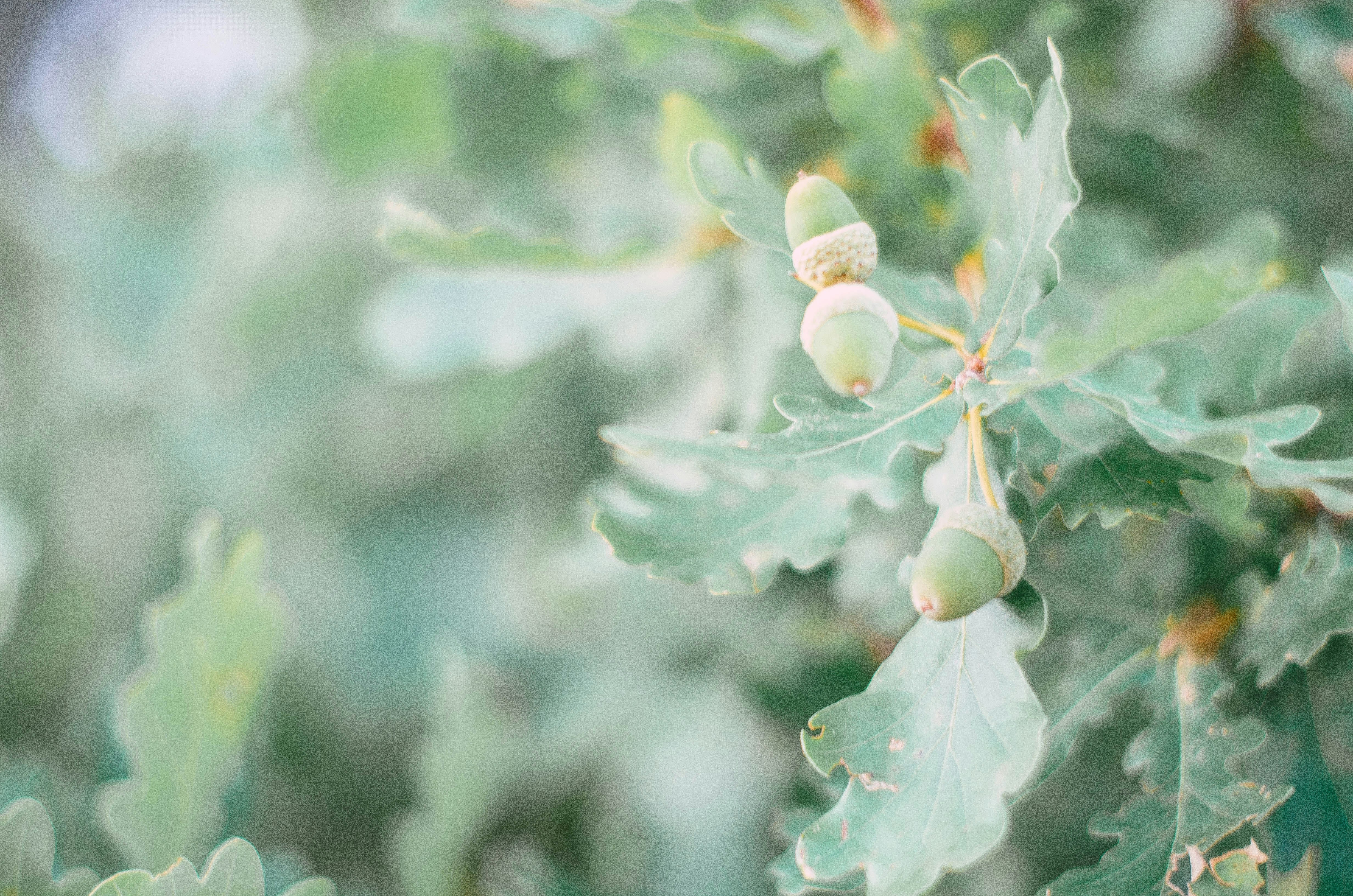 Photo by nika_benedictova