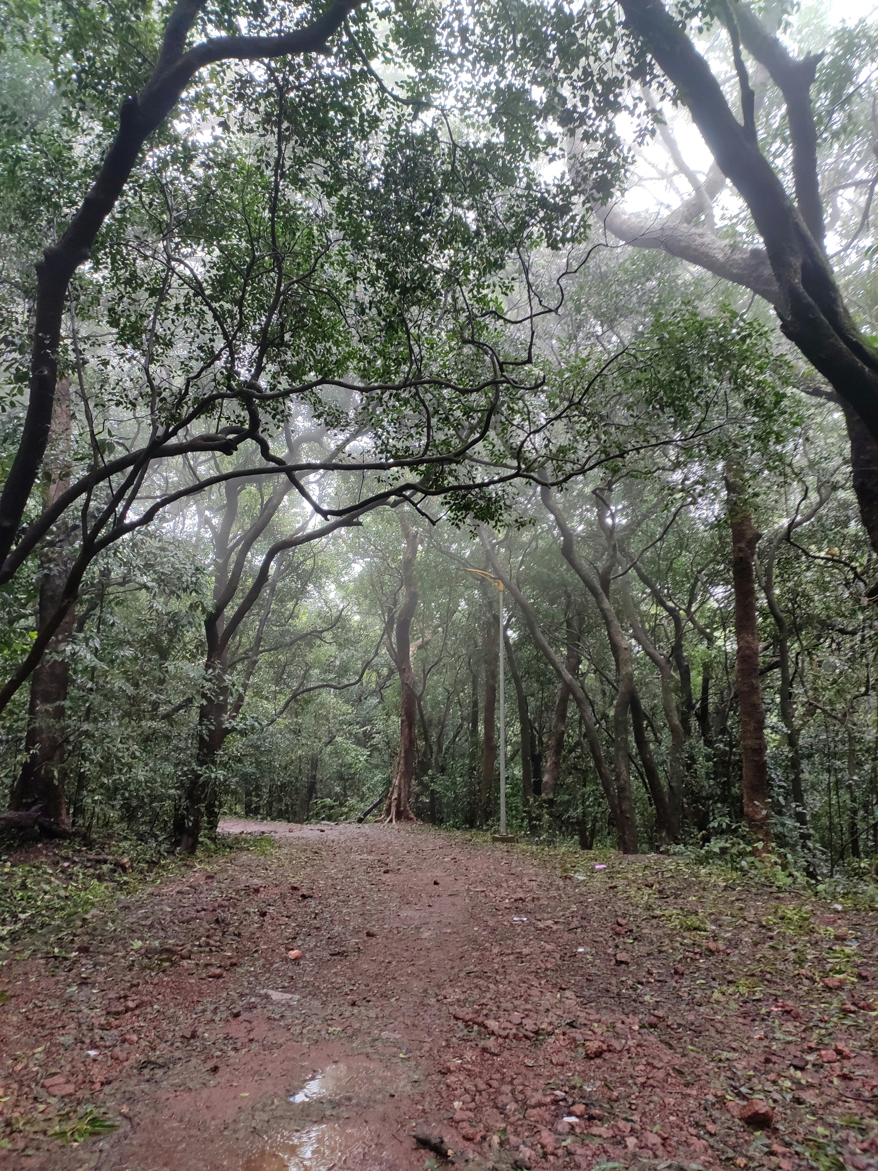 Photo by abhishek_05