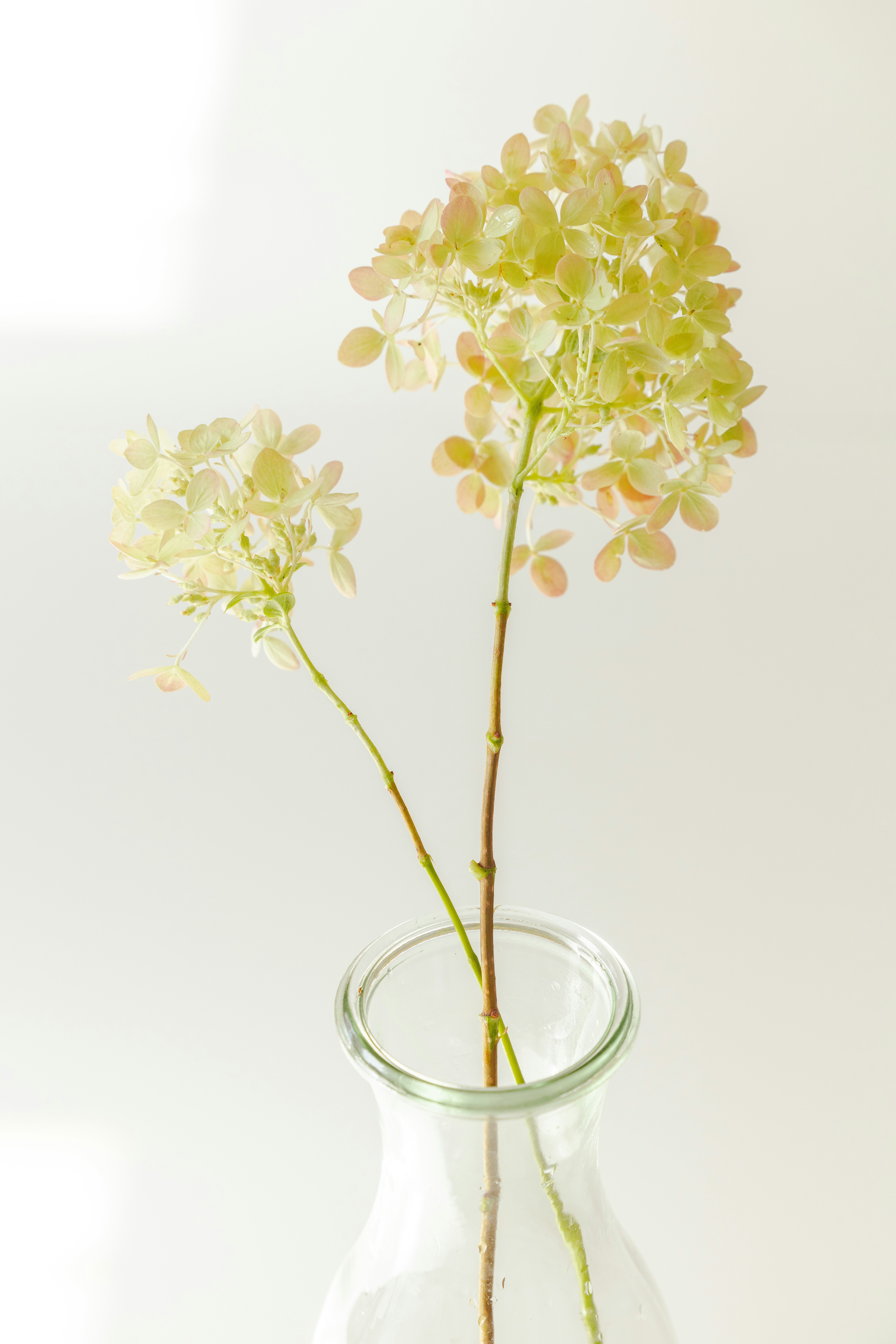 Photo by trendagraphy