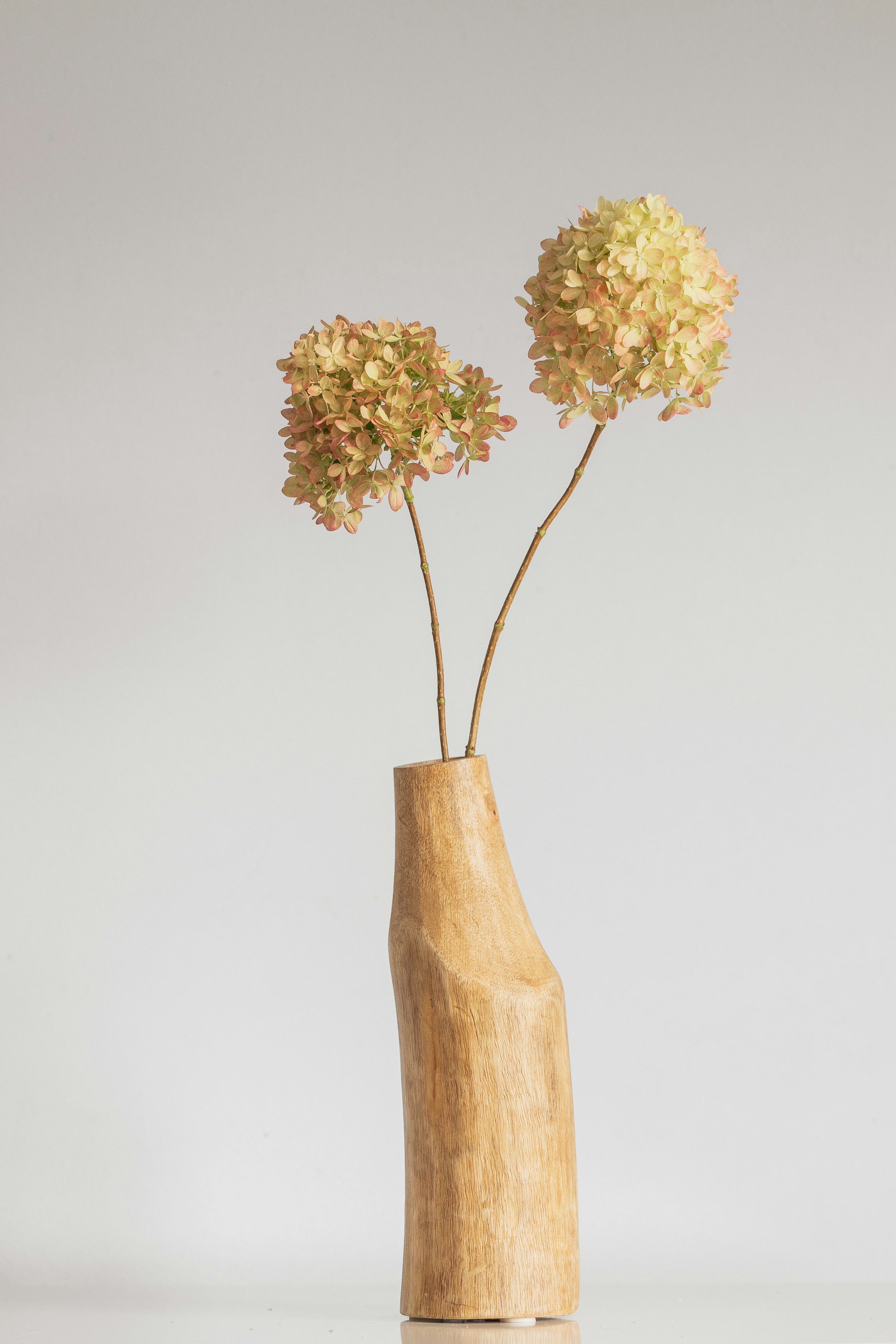 Photo by trendagraphy