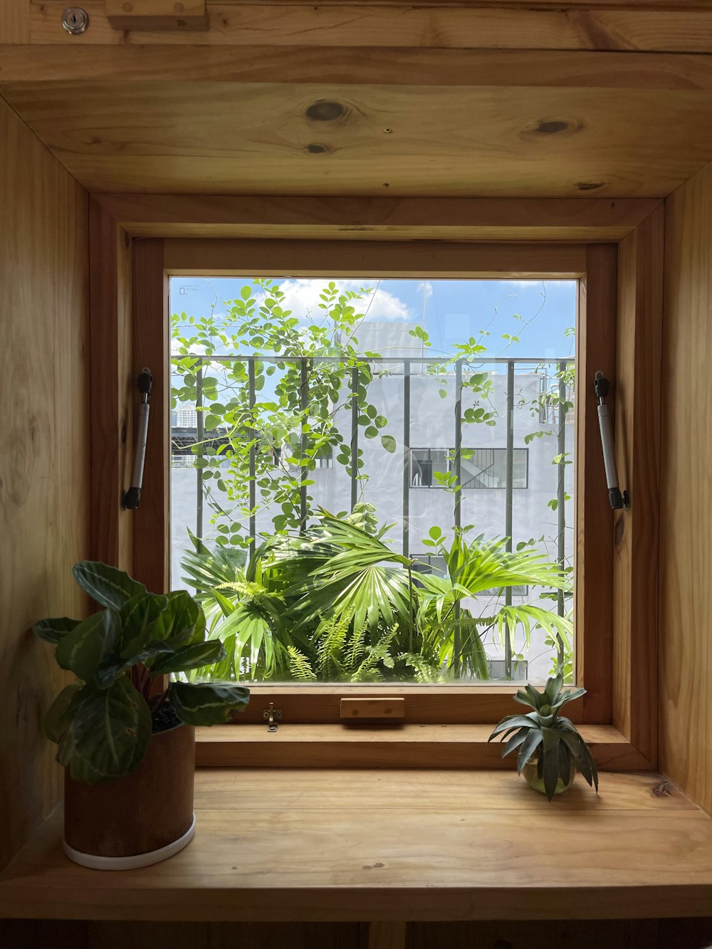 a window with potted plants