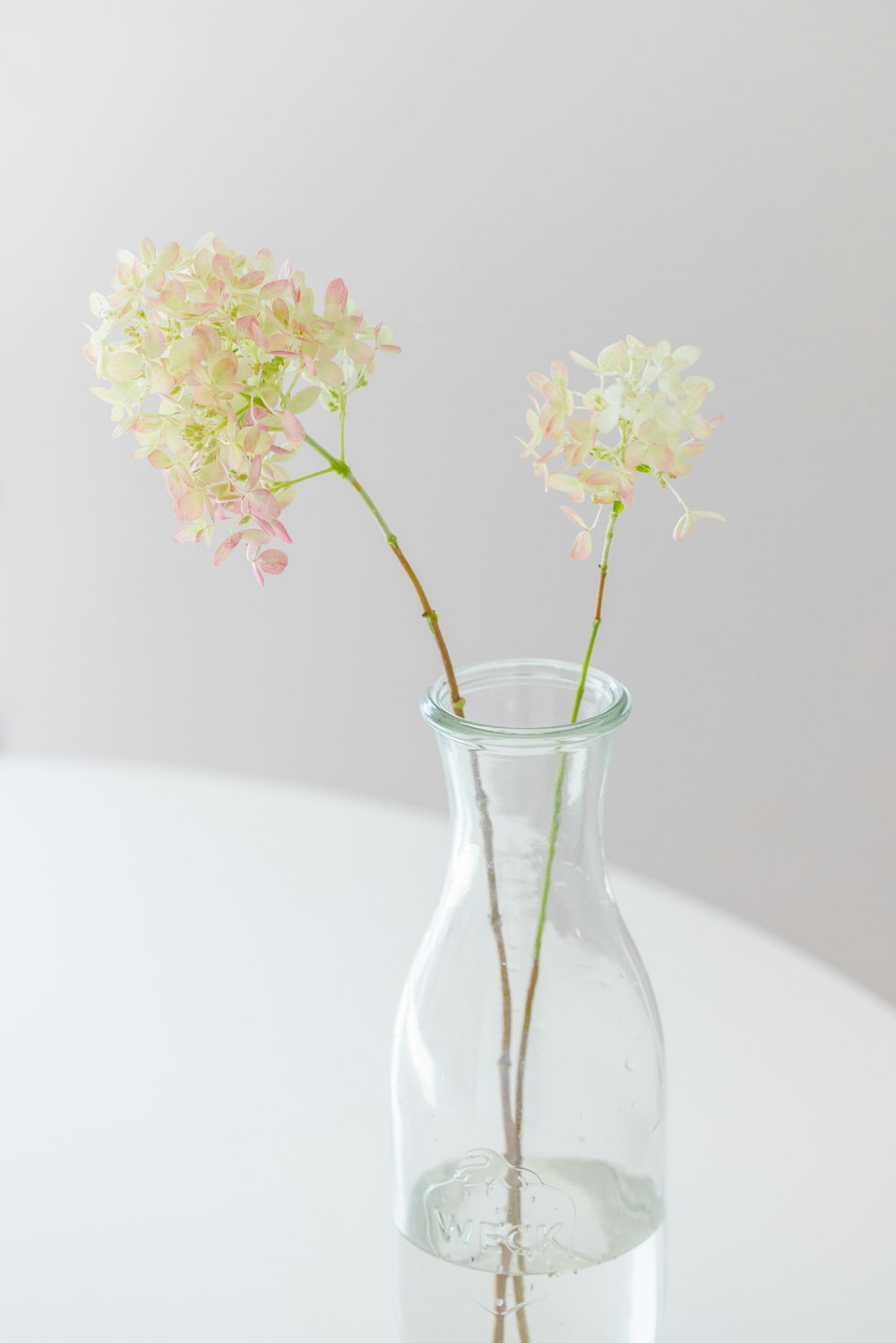 a vase with flowers