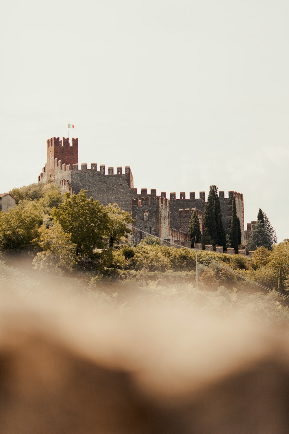 a castle on a hill