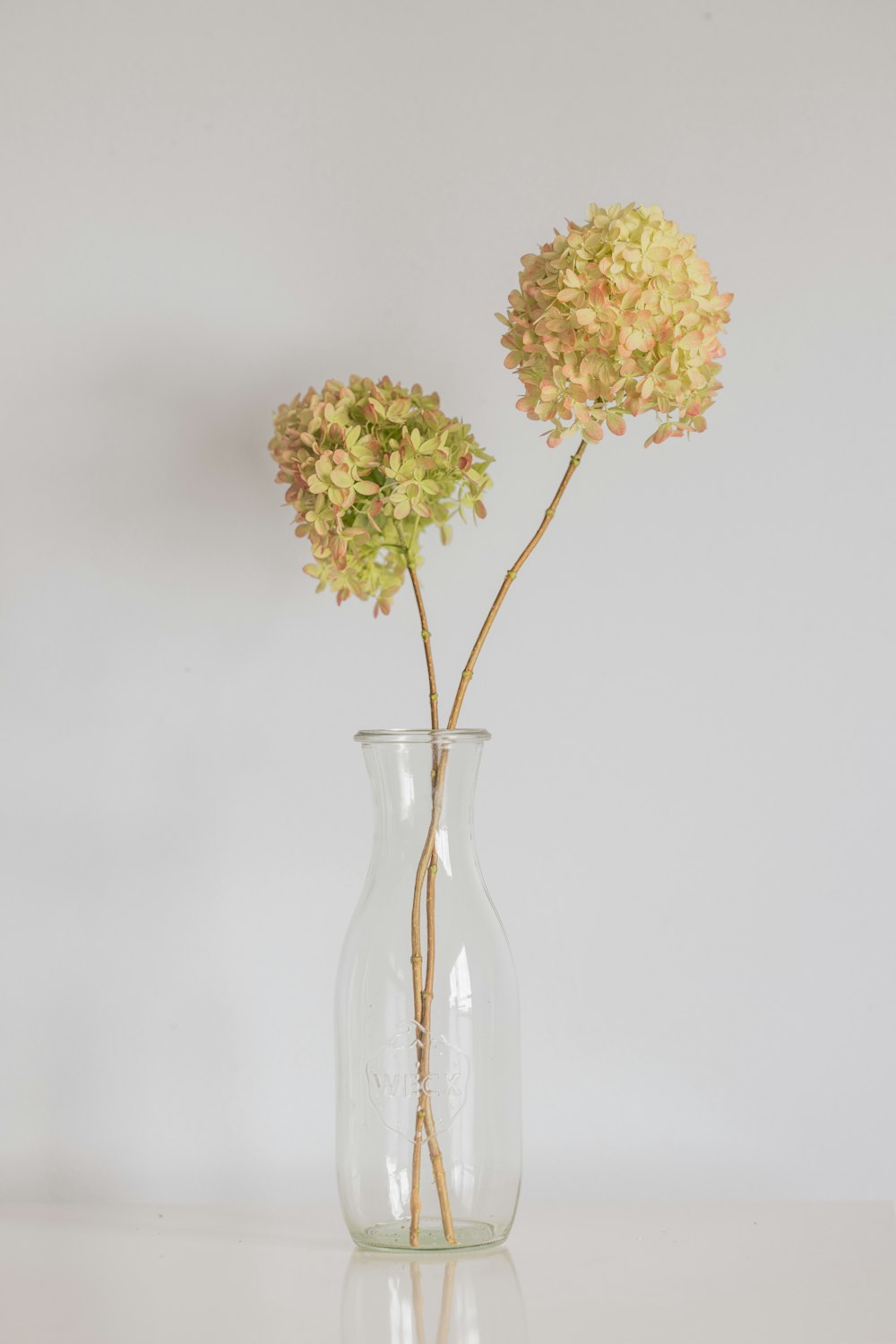 a vase with yellow flowers