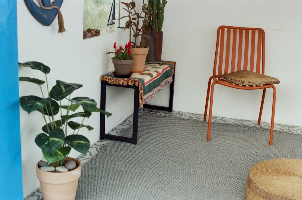a chair and potted plants in a room
