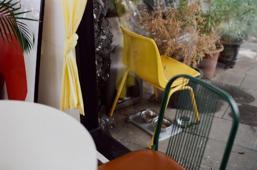 An indoor setting features multiple chairs of different colors, including a yellow plastic chair and a wire-framed green chair. A tied back yellow curtain partially obscures a view of a potted plant with dry leaves. Two metallic pet bowls are visible on the floor, and there's a glass surface reflecting parts of the scene.