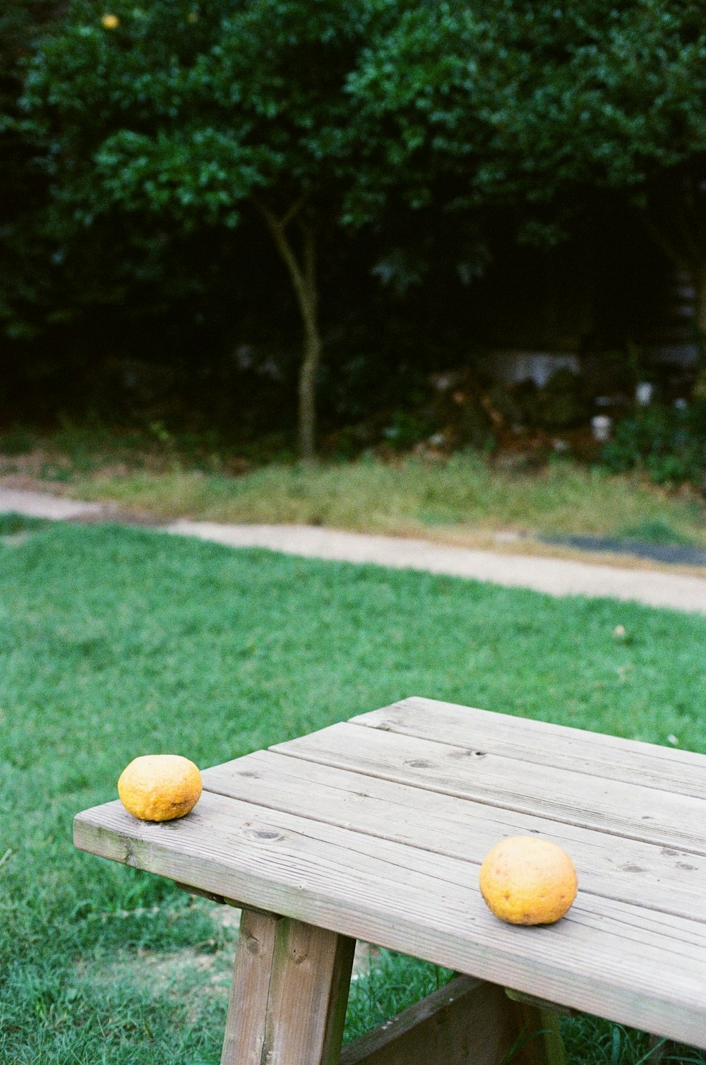 a couple of oranges on a wooden bench