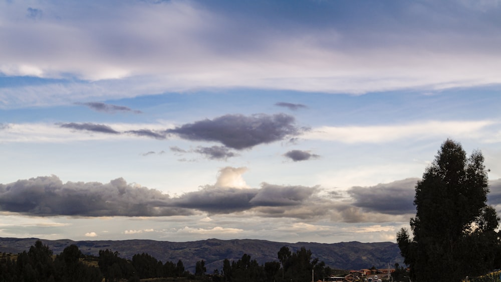 a landscape with trees and clouds