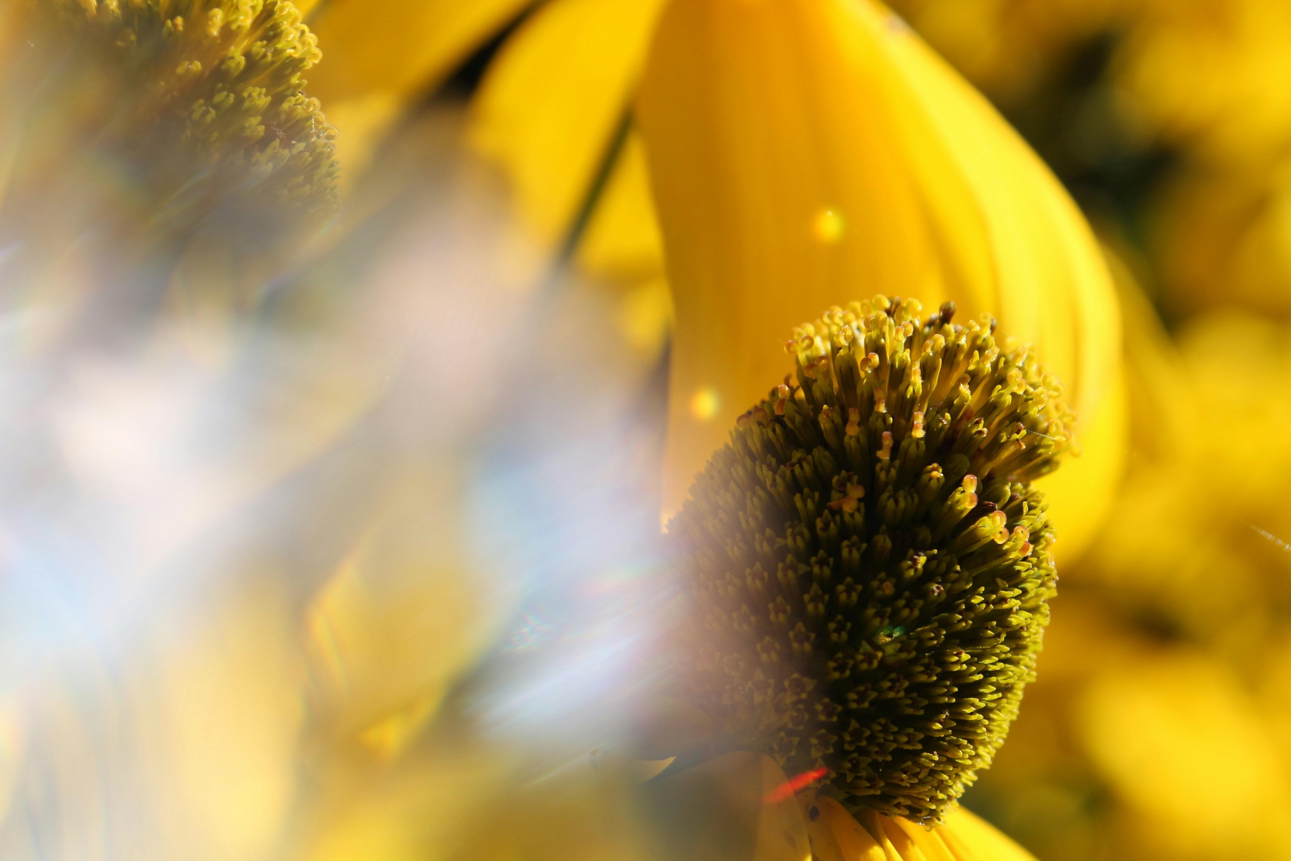 ISA 계좌 개설 방법, 세액 공제까지 챙기는 완벽한 방법