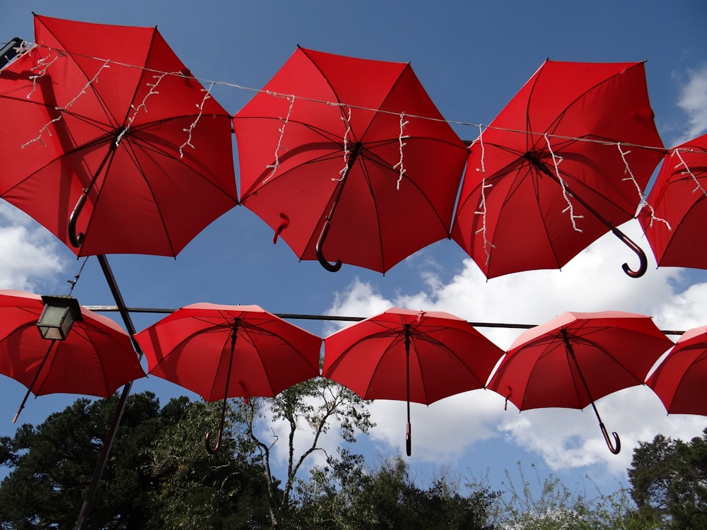 Eine Gruppe roter Regenschirme