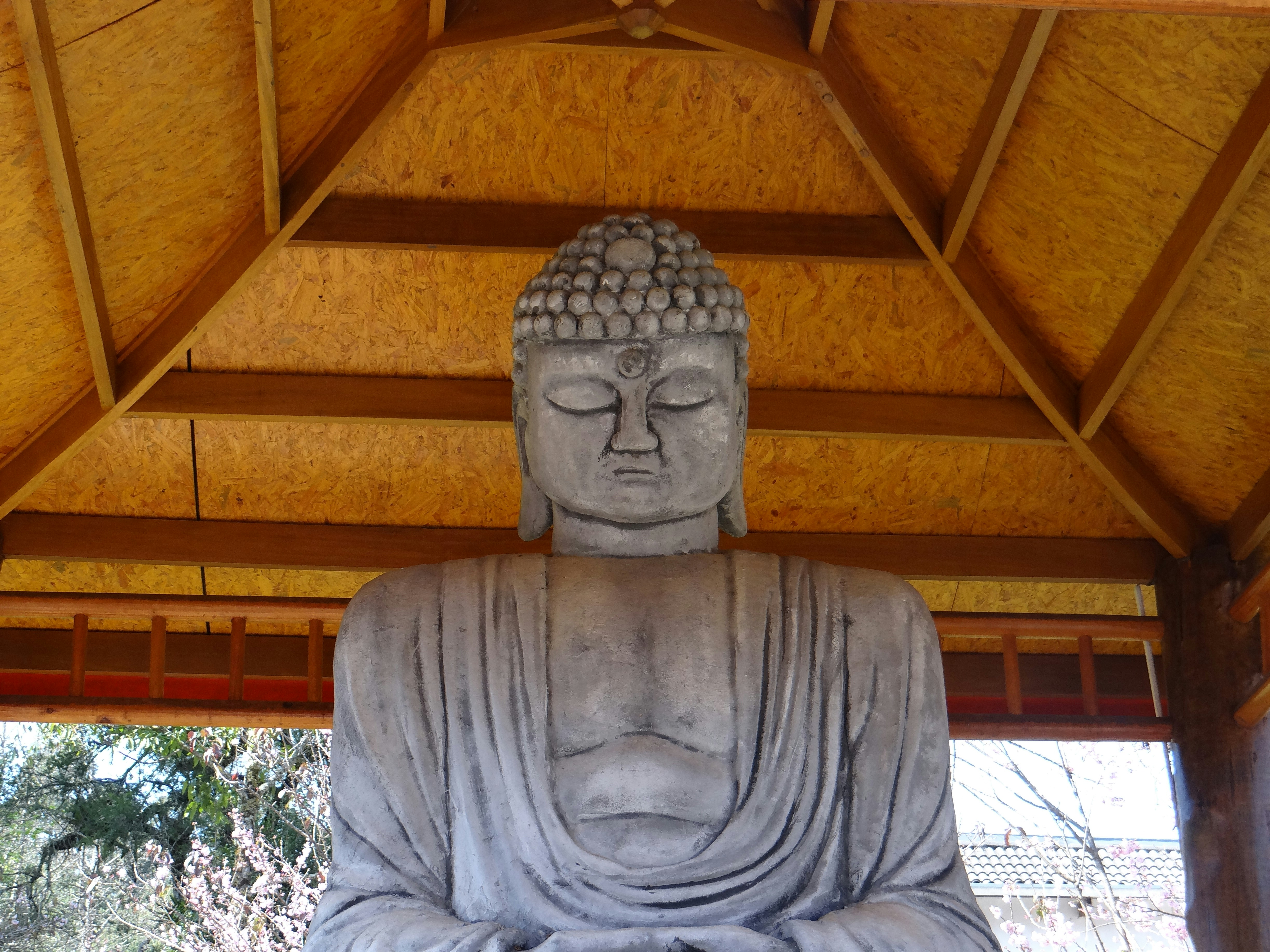 Photo by macornelsen